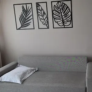 https://apartamento-inteiro-e-completo-em-tijucas-moderno-e.santa-catarina-brasil.com